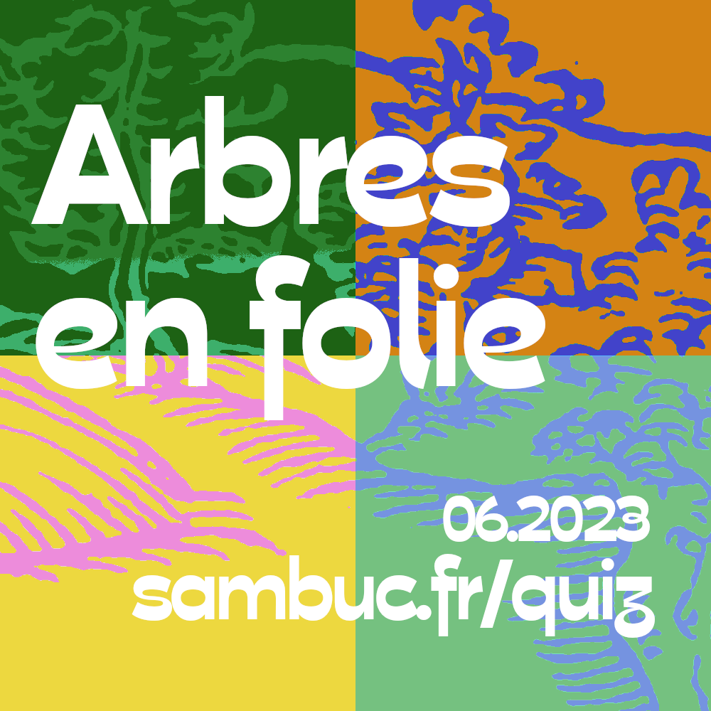 Logo du quiz : Arbres en folie 2023.